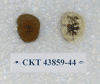 CKT 43859-44