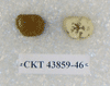 CKT 43859-46