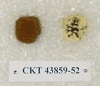 CKT 43859-52