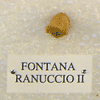 FONTANA RANUCCIO II