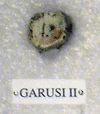 GARUSI II