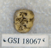 GSI 18067