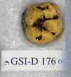 GSI-D 176