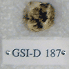 GSI-D 187