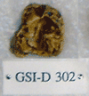 GSI-D 302