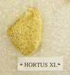 HORTUS XL