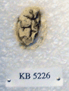 KB 5226