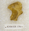 KNM-ER 136A