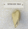 KNM-ER 3864