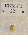 KNM-FT 22