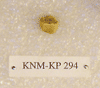 KNM-KP 294