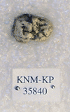 KNM-KP 35840A