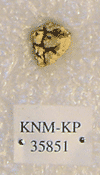 KNM-KP 35851