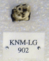 KNM-LG 902