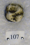 KNM-MB 107