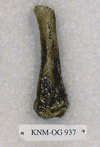 KNM-OG 937