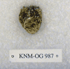 KNM-OG 987