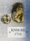 KNM-RU 1716