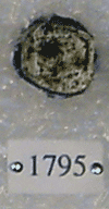 KNM-RU 1795