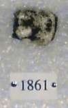 KNM-RU 1861