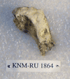 KNM-RU 1864