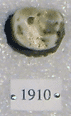KNM-RU 1910