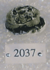 KNM-RU 2037