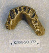 KNM-SO 372