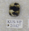 KUS-VP-2-142