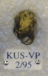 KUS-VP-2-95