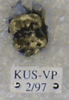 KUS-VP-2-97