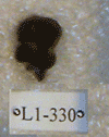 L 1-330