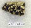 L 183-13