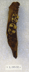 L 193-32