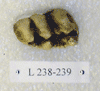 L 238-239