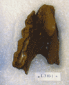 L 310-1