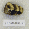 L 398-1090