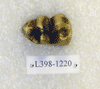 L 398-1220