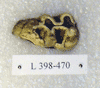 L 398-470