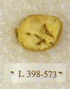 L 398-573