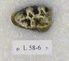 L 58-6