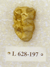 L 628-197
