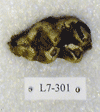 L 7-301