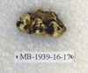 MB 1939-16-17