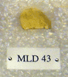 MLD 43