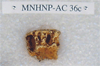 MNHNP-AC 36C