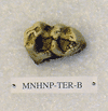 MNHNP-TER B