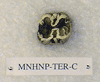 MNHNP-TER C