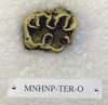 MNHNP-TER O