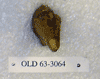OLD 63-3064